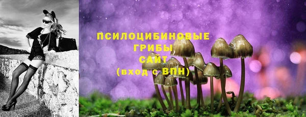 прущие грибы Алексеевка